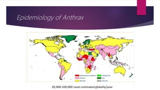 Anthrax ppt (Community).pptx