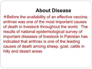 About Disease
Before the availability of an effective vaccine,
anthrax was one of the most important causes
of death in livestock throughout the world. The
results of national epidemiological survey of
important diseases of livestock in Pakistan has
indicated that anthrax is one of the leading
causes of death among sheep, goat, cattle in
hilly and desert areas.
 