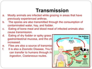 Transmission
a. Mostly animals are infected while grazing in areas that have
previously experienced anthrax.
b. The spores are also transmitted through the consumption of
contaminated water, hay, and fodder.
c. Eating of bone meal and blood meal of infected animals also
cause transmission.
d. Eating of dry fodder or spiky grass produces lesions in
gastrointestinal mucosa, and the chances of infection are
increased.
e. Flies are also a source of transmission.
f. It is also a Zoonotic Disease. This Disease
can transfer to humans through Inhalation,
Ingestion, Coetaneous routes.
 