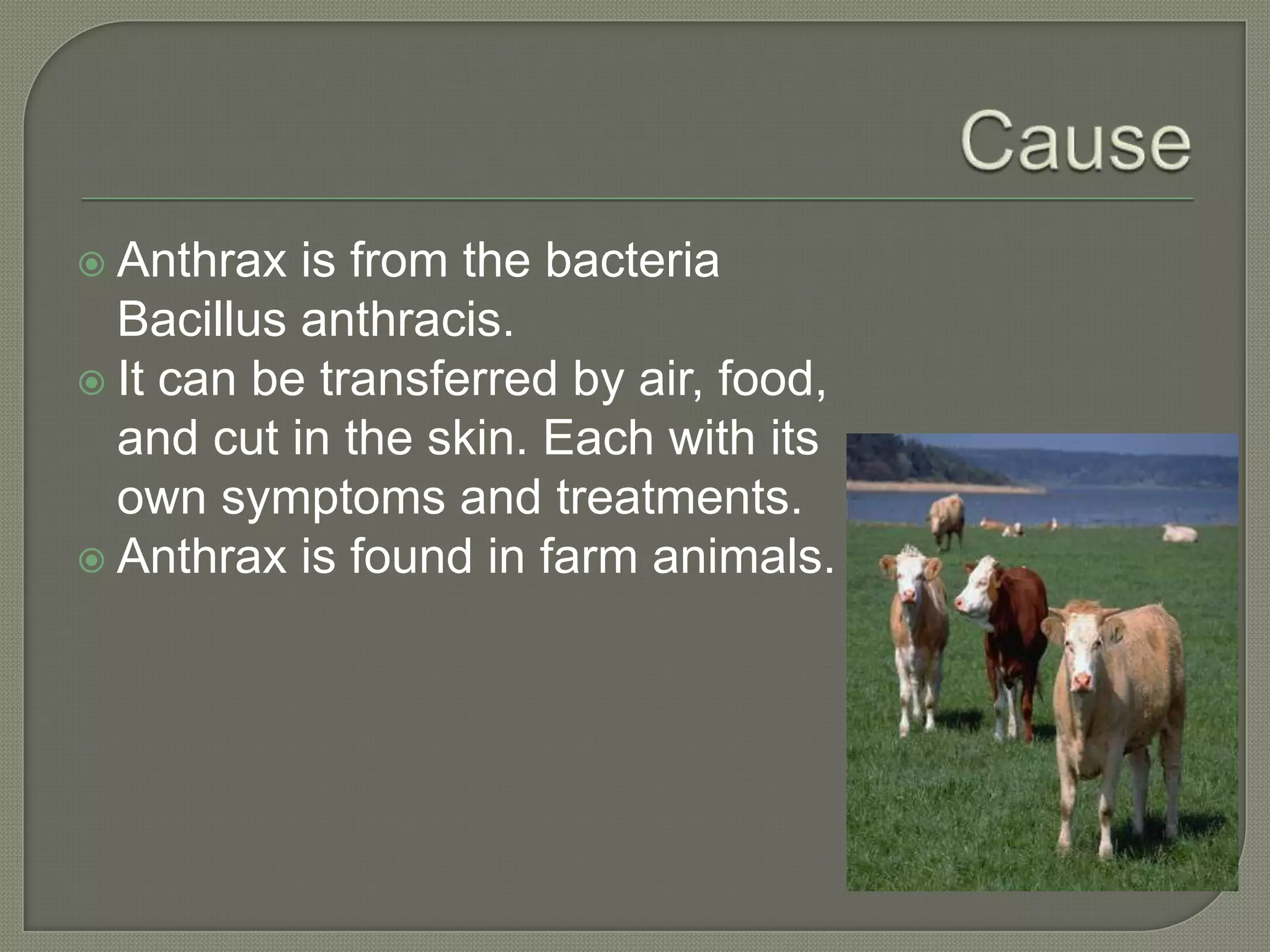  Anthrax is from the bacteria
Bacillus anthracis.
It can be transferred by air, food,
and cut in the skin. Each with its
own symptoms and treatments.
Anthrax is found in farm animals.