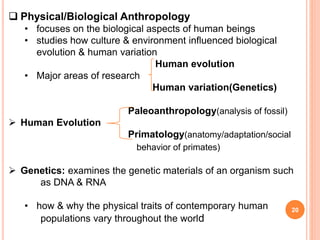 20
 Physical/Biological Anthropology
• focuses on the biological aspects of human beings
• studies how culture & environment influenced biological
evolution & human variation
Human evolution
• Major areas of research
Human variation(Genetics)
Paleoanthropology(analysis of fossil)
 Human Evolution
Primatology(anatomy/adaptation/social
behavior of primates)
 Genetics: examines the genetic materials of an organism such
as DNA & RNA
• how & why the physical traits of contemporary human
populations vary throughout the world
 
