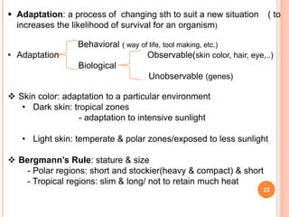 23
 Adaptation: a process of changing sth to suit a new situation ( to
increases the likelihood of survival for an organism)
Behavioral ( way of life, tool making, etc.)
• Adaptation Observable(skin color, hair, eye,..)
Biological
Unobservable (genes)
 Skin color: adaptation to a particular environment
• Dark skin: tropical zones
- adaptation to intensive sunlight
• Light skin: temperate & polar zones/exposed to less sunlight
 Bergmann’s Rule: stature & size
- Polar regions: short and stockier(heavy & compact) & short
- Tropical regions: slim & long/ not to retain much heat
 