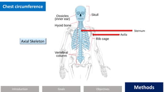 Introduction Methods
Objectives
Goals Methods
Chest circumference
Axilla
Axial Skeleton
Sternum
 