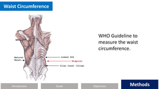 Introduction Methods
Objectives
Goals Methods
Waist Circumference
WHO Guideline to
measure the waist
circumference.
 