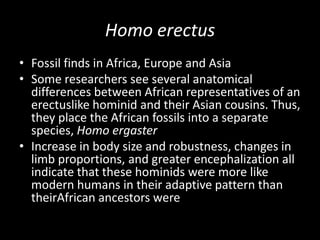Homo erectus
• Fossil finds in Africa, Europe and Asia
• Some researchers see several anatomical
  differences between African representatives of an
  erectuslike hominid and their Asian cousins. Thus,
  they place the African fossils into a separate
  species, Homo ergaster
• Increase in body size and robustness, changes in
  limb proportions, and greater encephalization all
  indicate that these hominids were more like
  modern humans in their adaptive pattern than
  theirAfrican ancestors were
 