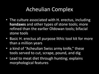 Acheulian Complex
• The culture associated with H. erectus, including
  handaxes and other types of stone tools; more
  refined than the earlier Oldowan tools; bifacial
  stone tools
• Basic H. erectus all purpose lithic tool kit for more
  than a million years
• a kind of “Acheulian Swiss army knife,” these
  tools served to cut, scrape, pound, and dig
• Lead to meat diet through hunting; explains
  morphological features
 