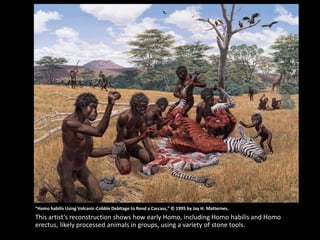 “Homo habilis Using Volcanic-Cobble Debitage to Rend a Carcass,” © 1995 by Jay H. Matternes.
This artist’s reconstruction shows how early Homo, including Homo habilis and Homo
erectus, likely processed animals in groups, using a variety of stone tools.
 