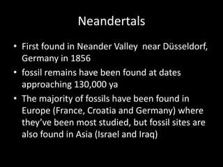 Neandertals
• First found in Neander Valley near Düsseldorf,
  Germany in 1856
• fossil remains have been found at dates
  approaching 130,000 ya
• The majority of fossils have been found in
  Europe (France, Croatia and Germany) where
  they’ve been most studied, but fossil sites are
  also found in Asia (Israel and Iraq)
 