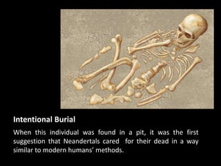 Intentional Burial
When this individual was found in a pit, it was the first
suggestion that Neandertals cared for their dead in a way
similar to modern humans’ methods.
 