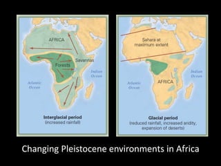 Changing Pleistocene environments in Africa
 