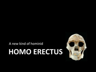 A new kind of hominid

HOMO ERECTUS
 