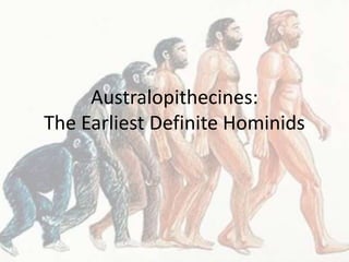 Australopithecines:
The Earliest Definite Hominids
 
