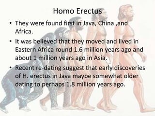 Homo Erectus
• They were found first in Java, China ,and
Africa.
• It was believed that they moved and lived in
Eastern Africa round 1.6 million years ago and
about 1 million years ago in Asia.
• Recent re-dating suggest that early discoveries
of H. erectus in Java maybe somewhat older
dating to perhaps 1.8 million years ago.
 