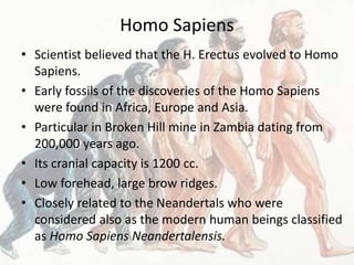 Homo Sapiens
• Scientist believed that the H. Erectus evolved to Homo
Sapiens.
• Early fossils of the discoveries of the Homo Sapiens
were found in Africa, Europe and Asia.
• Particular in Broken Hill mine in Zambia dating from
200,000 years ago.
• Its cranial capacity is 1200 cc.
• Low forehead, large brow ridges.
• Closely related to the Neandertals who were
considered also as the modern human beings classified
as Homo Sapiens Neandertalensis.
 