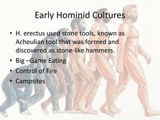 Early Hominid Cultures
• H. erectus used stone tools, known as
Acheulian tool that was formed and
discovered as stone-like hammers.
• Big –Game Eating
• Control of Fire
• Campsites
 