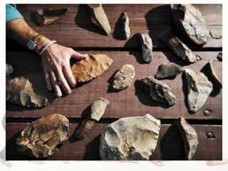 The Australopithecines- Anthropology