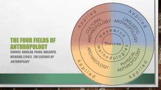 Anthro30 5 fields in antrhopology | PPTX