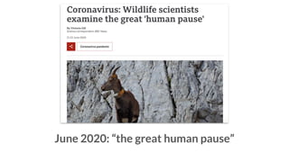 June 2020: “the great human pause”
 