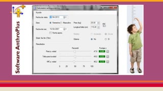 - Utilización del programa -
 