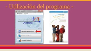 - Utilización del programa -
 