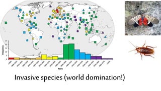 The Evolution of Insects: Part THREE [3] / Summary & Anthropocene - Bug ...