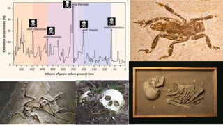 The Evolution of Insects: Part THREE [3] / Summary & Anthropocene - Bug ...