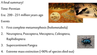 The Evolution of Insects: Part THREE [3] / Summary & Anthropocene - Bug ...