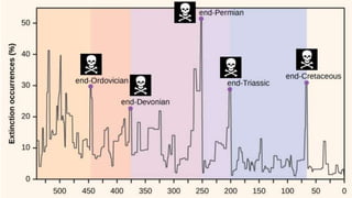The Evolution of Insects: Part THREE [3] / Summary & Anthropocene - Bug ...