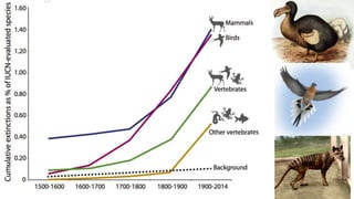 The Evolution of Insects: Part THREE [3] / Summary & Anthropocene - Bug ...