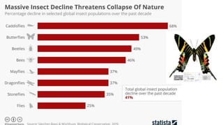 The Evolution of Insects: Part THREE [3] / Summary & Anthropocene - Bug ...
