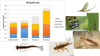 The Evolution of Insects: Part THREE [3] / Summary & Anthropocene - Bug ...