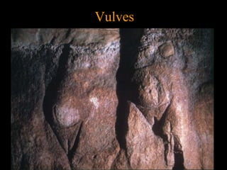 Vulves
 