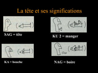 La tête et ses significations
SAG = tête
KA = bouche
KU 2 = manger
NAG = boire
 