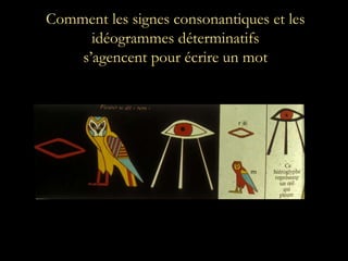 Comment les signes consonantiques et les
idéogrammes déterminatifs
s’agencent pour écrire un mot
 