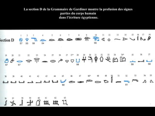 La section D de la Grammaire de Gardiner montre la profusion des signes
parties du corps humain
dans l’écriture égyptienne.
 