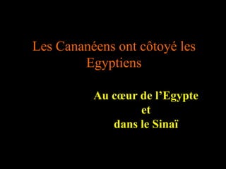 Les Cananéens ont côtoyé les
Egyptiens
Au cœur de l’Egypte
et
dans le Sinaï
 