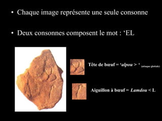 • Chaque image représente une seule consonne
• Deux consonnes composent le mot : ‘EL
Tête de bœuf = ‘alpou > ‘ (attaque glottale)
Aiguillon à bœuf = Lamdou < L
 