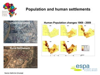 Impact of anthropogenic activities on the emergence and spread of zoonotic diseases in Tana River County, Kenya