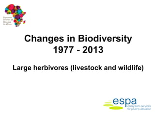 Impact of anthropogenic activities on the emergence and spread of zoonotic diseases in Tana River County, Kenya