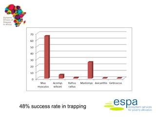 Impact of anthropogenic activities on the emergence and spread of zoonotic diseases in Tana River County, Kenya