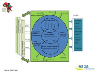 Impact of anthropogenic activities on the emergence and spread of zoonotic diseases in Tana River County, Kenya
