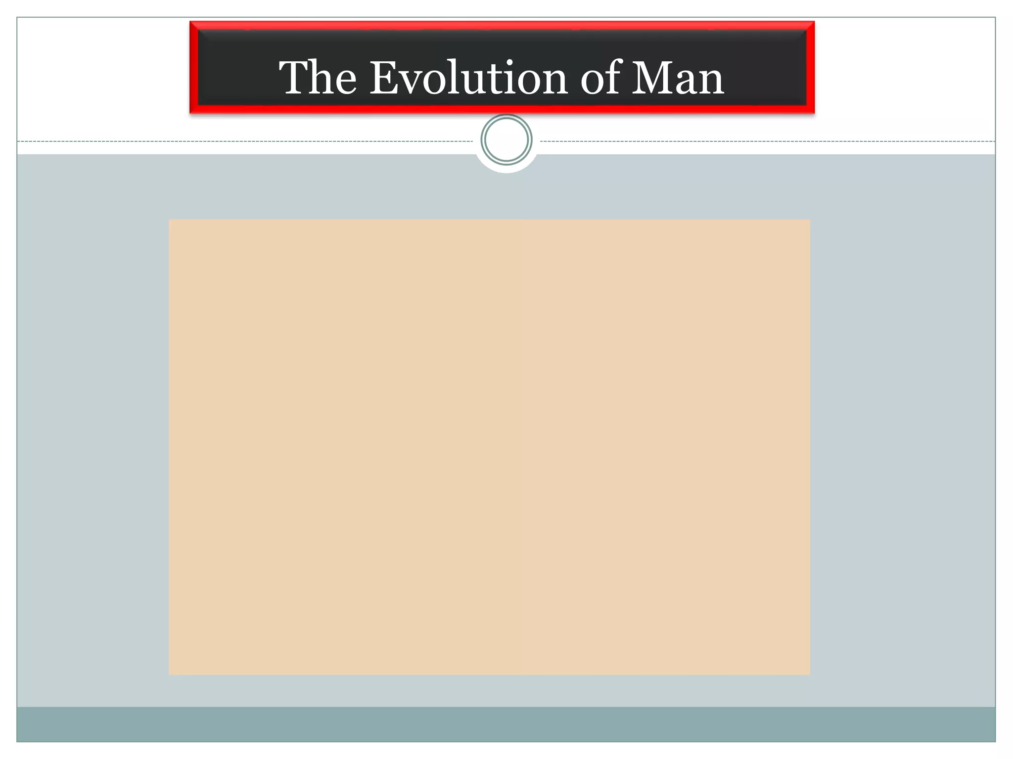 The Evolution of Man
 