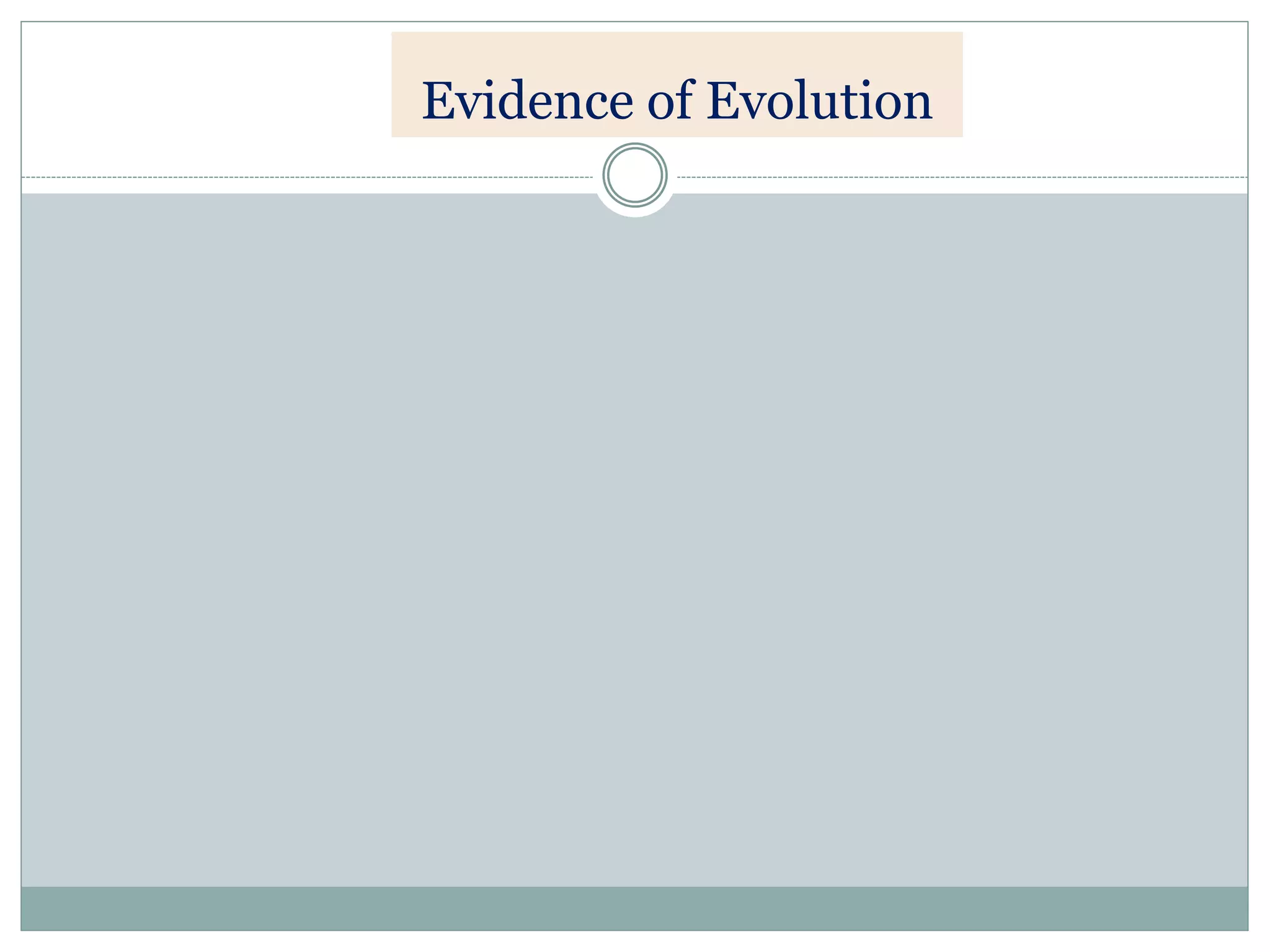 Evidence of Evolution
 