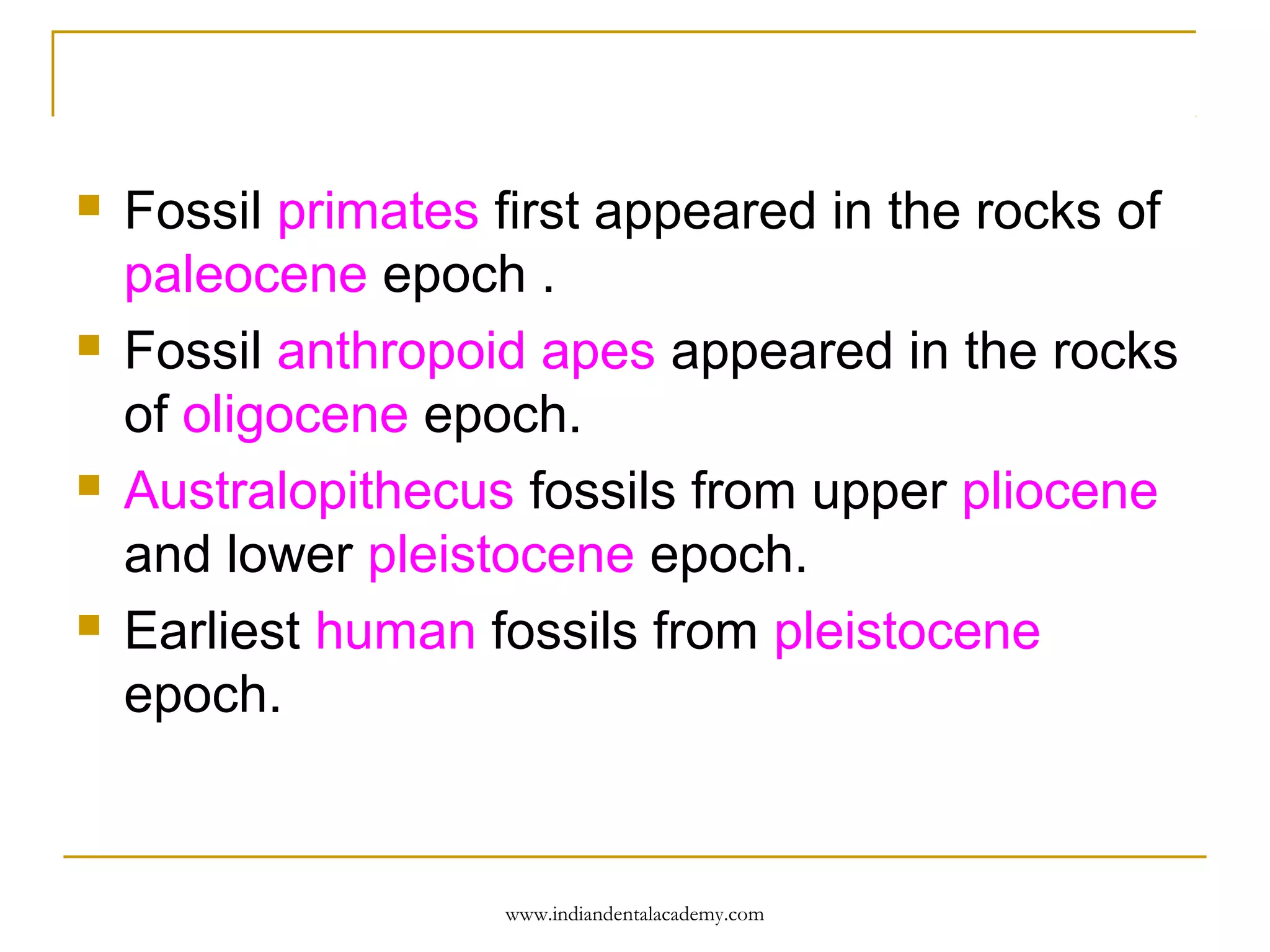 







Fossil primates first appeared in the rocks of
paleocene epoch .
Fossil anthropoid apes appeared in the rocks
of oligocene epoch.
Australopithecus fossils from upper pliocene
and lower pleistocene epoch.
Earliest human fossils from pleistocene
epoch.

www.indiandentalacademy.com

 