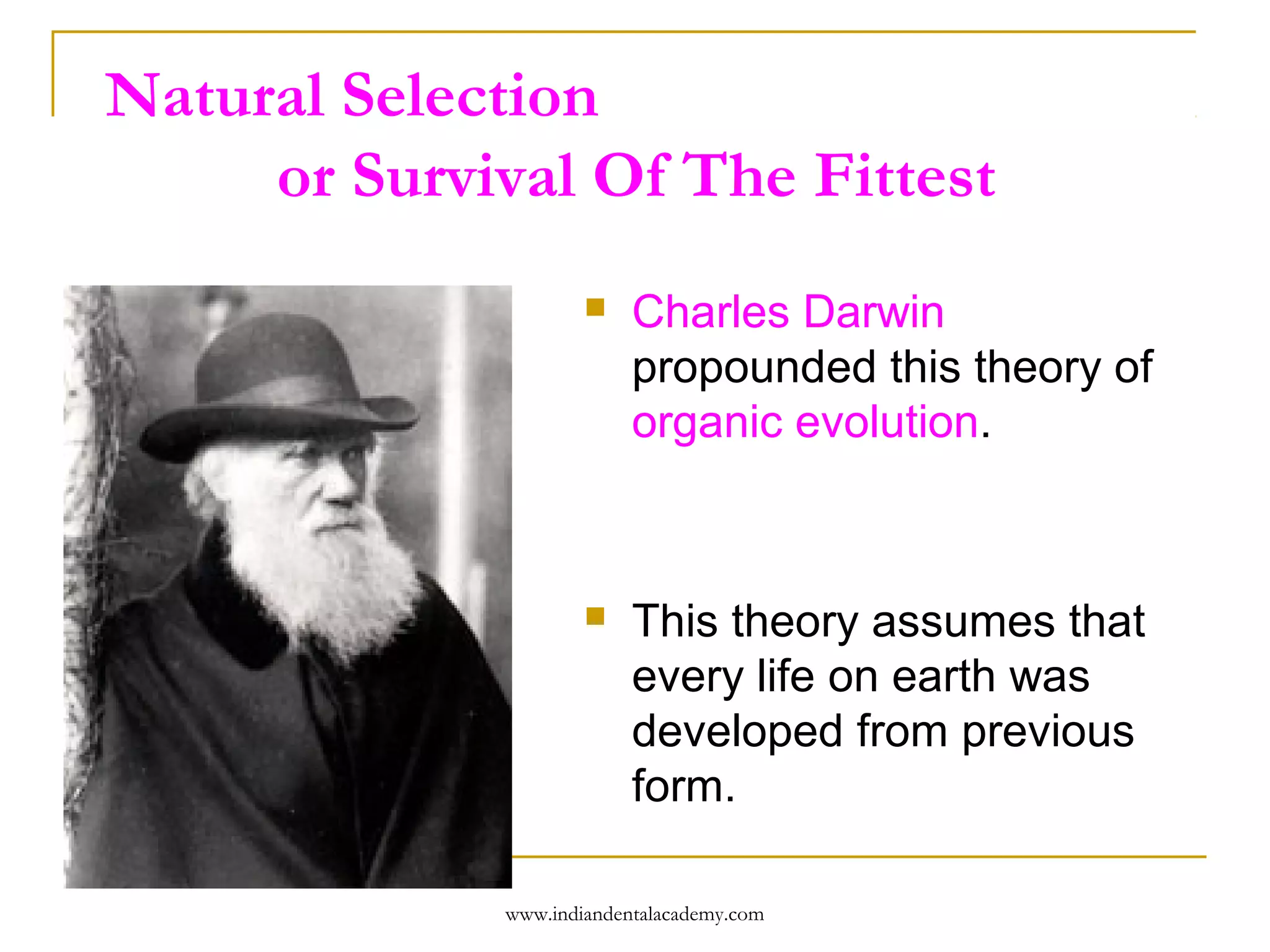 Natural Selection
or Survival Of The Fittest


Charles Darwin
propounded this theory of
organic evolution.



This theory assumes that
every life on earth was
developed from previous
form.

www.indiandentalacademy.com

 