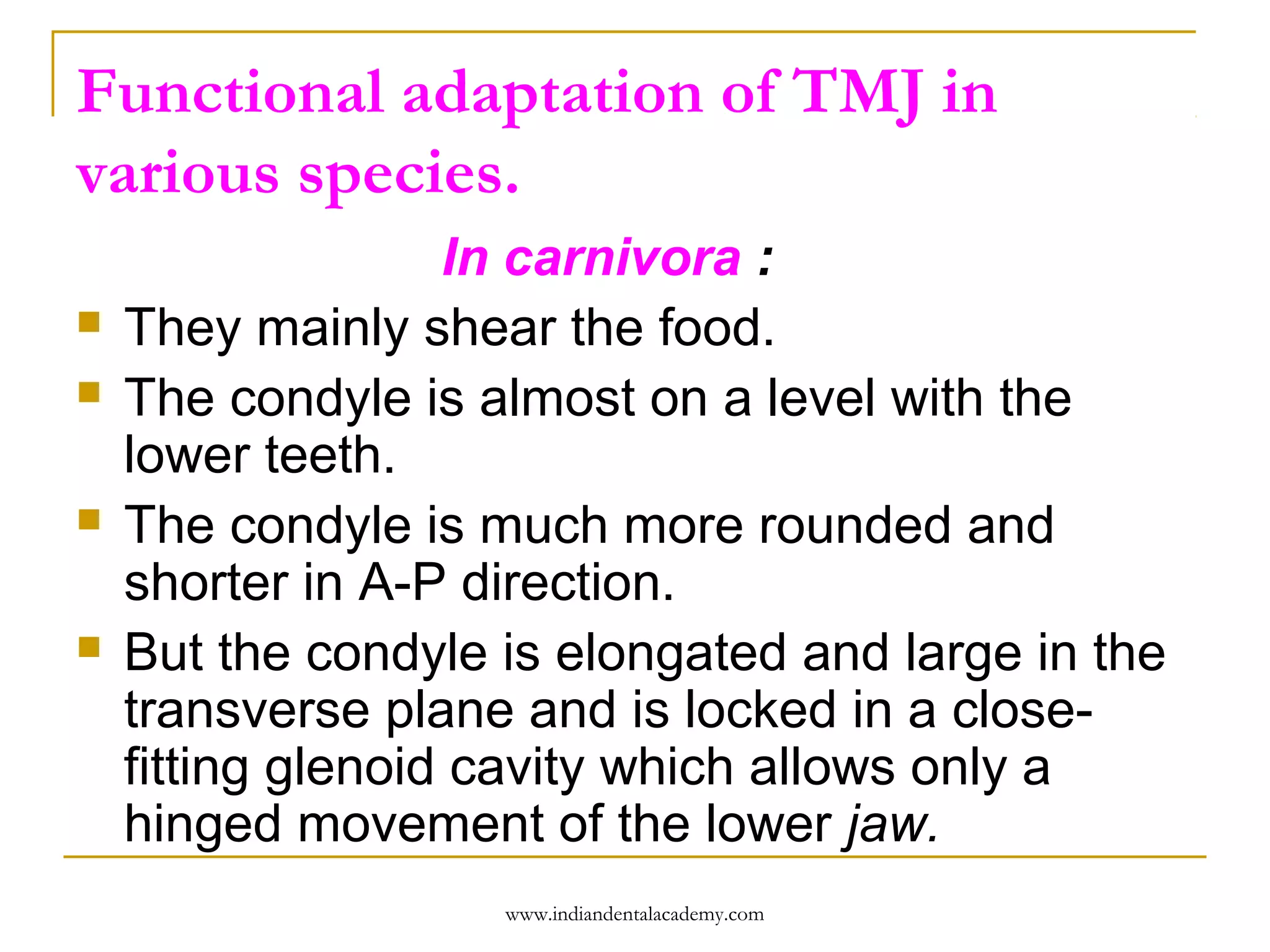 Functional adaptation of TMJ in
various species.







In carnivora :
They mainly shear the food.
The condyle is almost on a level with the
lower teeth.
The condyle is much more rounded and
shorter in A-P direction.
But the condyle is elongated and large in the
transverse plane and is locked in a closefitting glenoid cavity which allows only a
hinged movement of the lower jaw.
www.indiandentalacademy.com

 