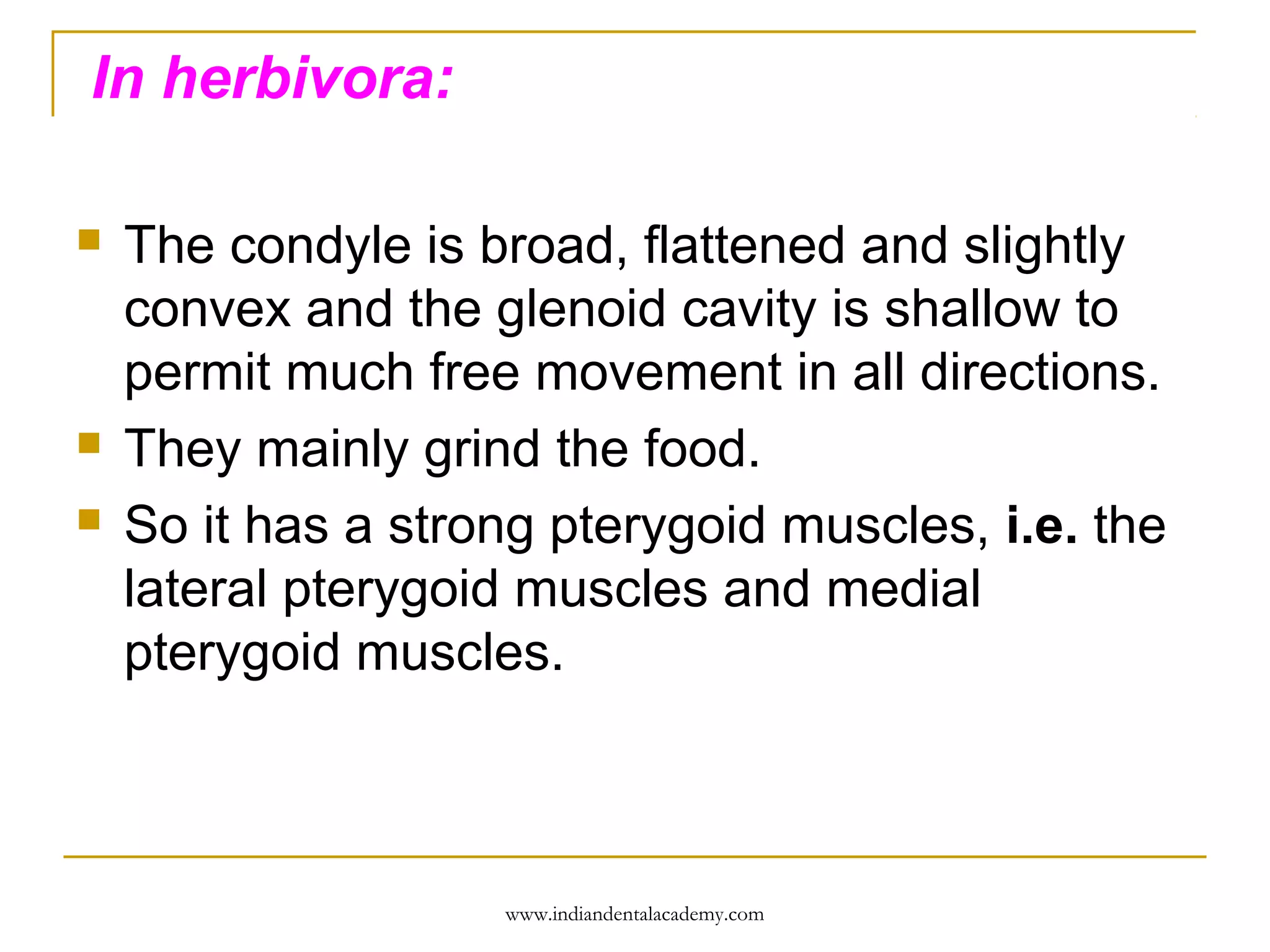 In herbivora:





The condyle is broad, flattened and slightly
convex and the glenoid cavity is shallow to
permit much free movement in all directions.
They mainly grind the food.
So it has a strong pterygoid muscles, i.e. the
lateral pterygoid muscles and medial
pterygoid muscles.

www.indiandentalacademy.com

 