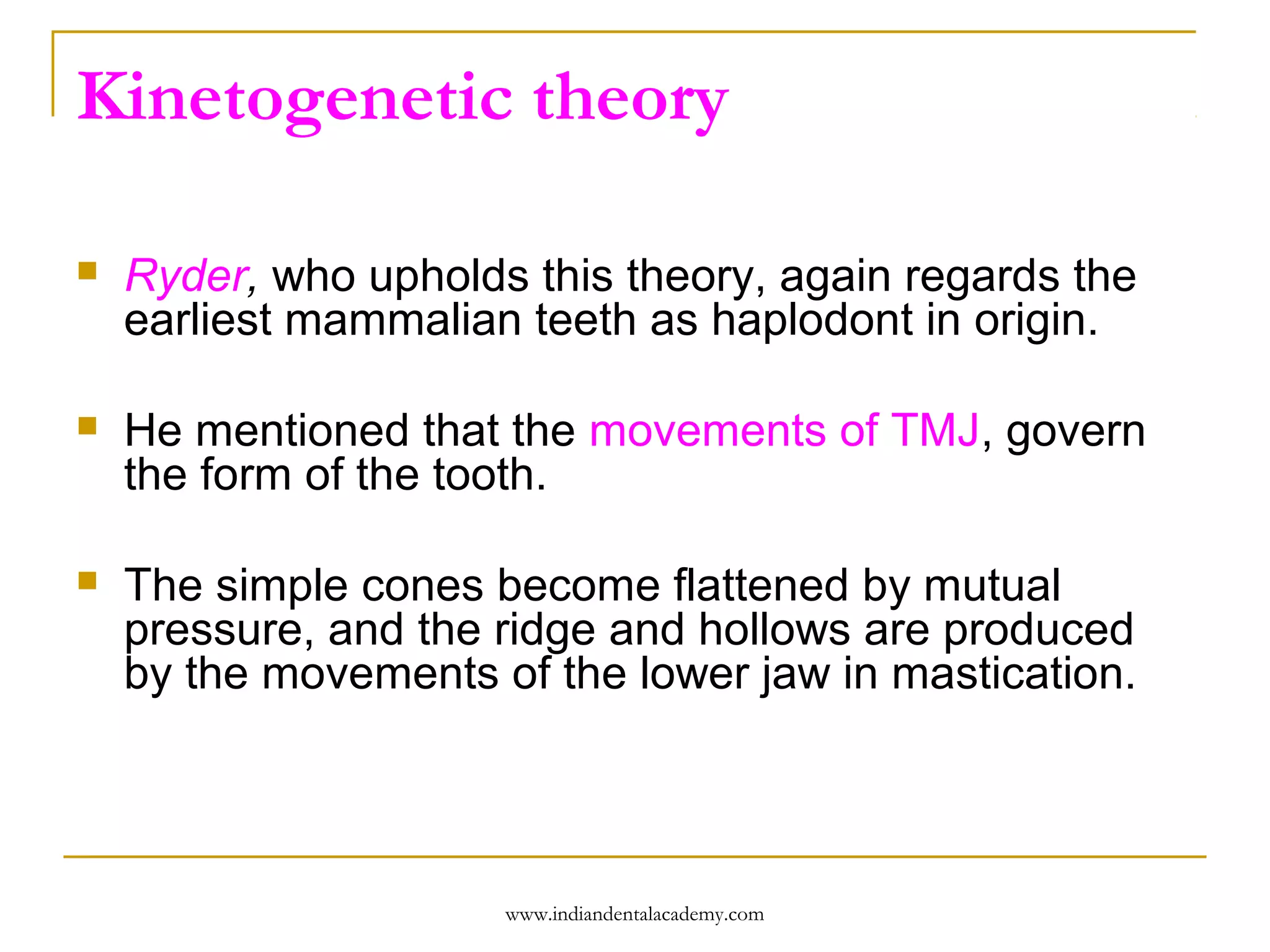 Kinetogenetic theory


Ryder, who upholds this theory, again regards the
earliest mammalian teeth as haplodont in origin.



He mentioned that the movements of TMJ, govern
the form of the tooth.



The simple cones become flattened by mutual
pressure, and the ridge and hollows are produced
by the movements of the lower jaw in mastication.

www.indiandentalacademy.com

 