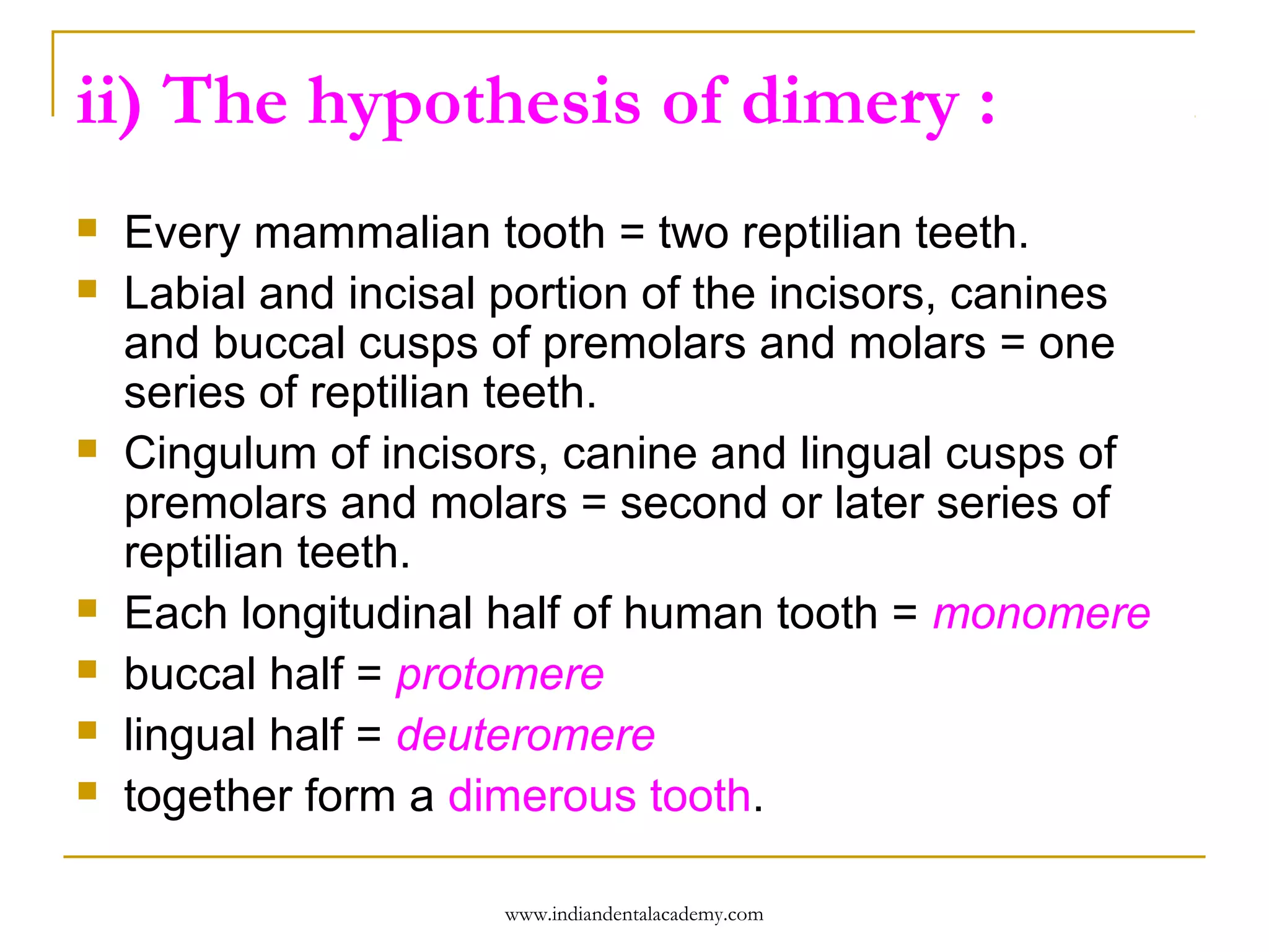 ii) The hypothesis of dimery :










Every mammalian tooth = two reptilian teeth.
Labial and incisal portion of the incisors, canines
and buccal cusps of premolars and molars = one
series of reptilian teeth.
Cingulum of incisors, canine and lingual cusps of
premolars and molars = second or later series of
reptilian teeth.
Each longitudinal half of human tooth = monomere
buccal half = protomere
lingual half = deuteromere
together form a dimerous tooth.
www.indiandentalacademy.com

 