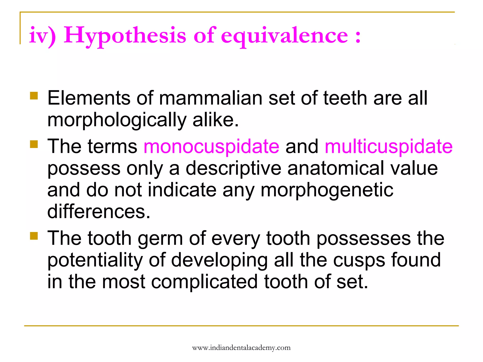 iv) Hypothesis of equivalence :






Elements of mammalian set of teeth are all
morphologically alike.
The terms monocuspidate and multicuspidate
possess only a descriptive anatomical value
and do not indicate any morphogenetic
differences.
The tooth germ of every tooth possesses the
potentiality of developing all the cusps found
in the most complicated tooth of set.

www.indiandentalacademy.com

 